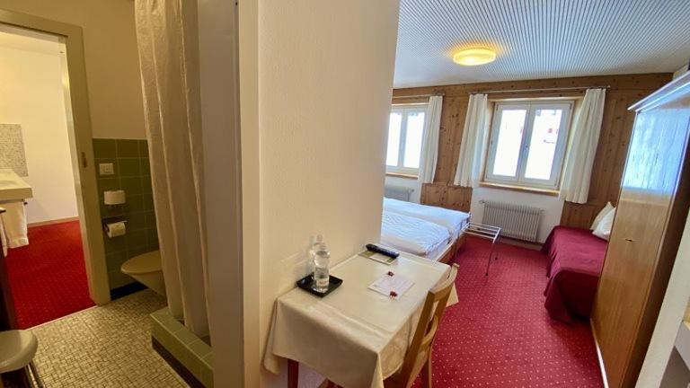 Hotel Alpina Parpan Ngoại thất bức ảnh
