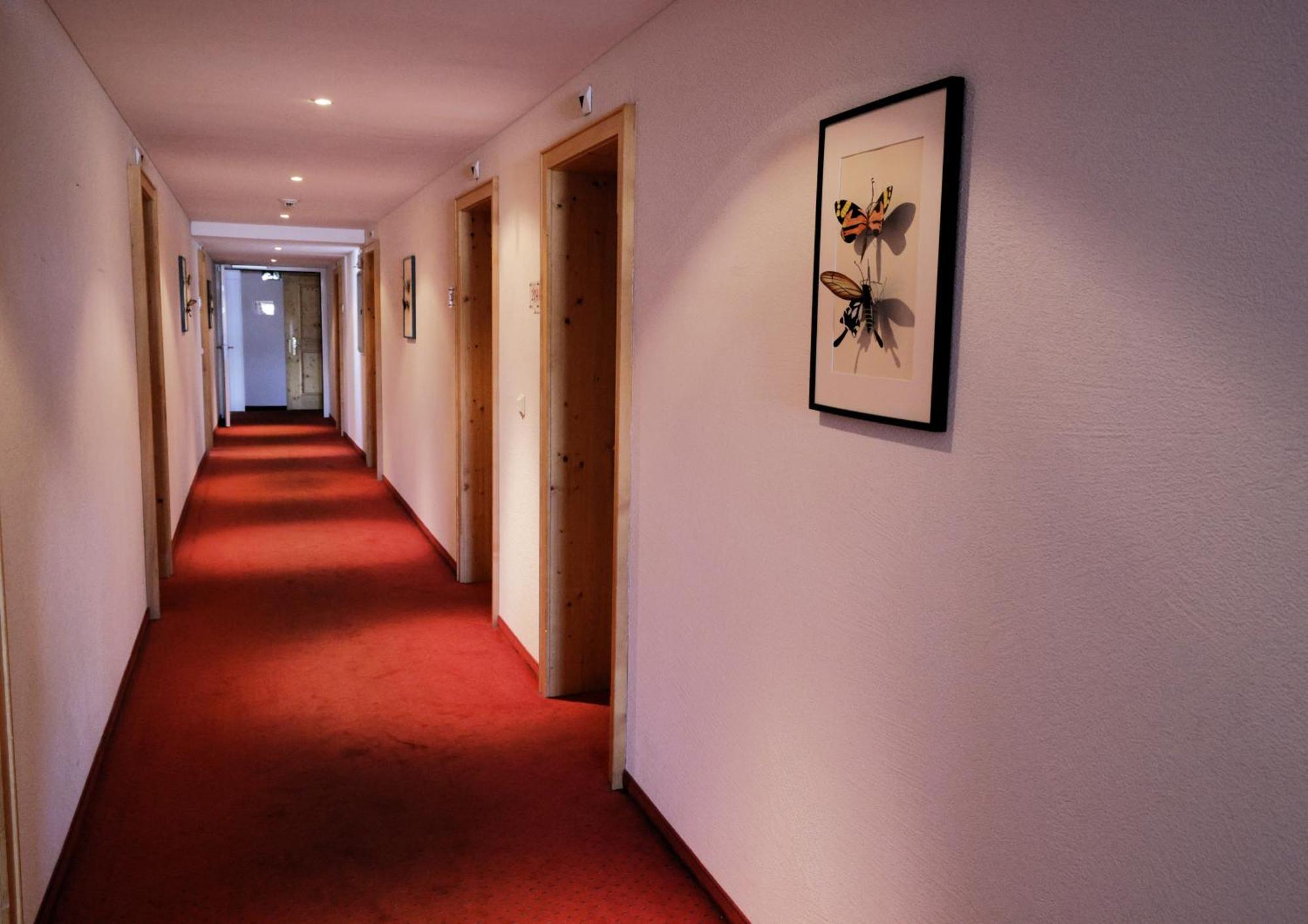 Hotel Alpina Parpan Ngoại thất bức ảnh